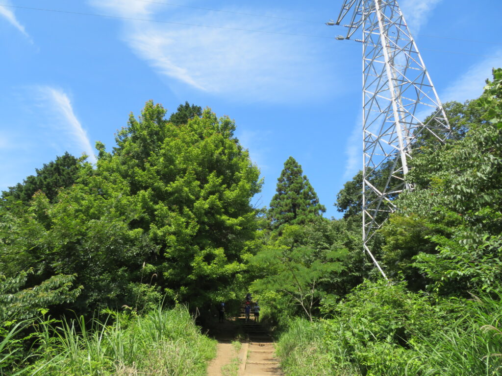 いつもの撮影場所