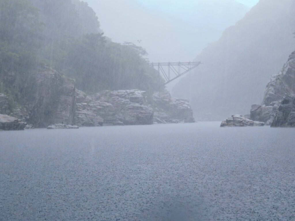 正面の橋みたいのは船着き場とのこと
氾濫すると水位があそこまで上がるみたい