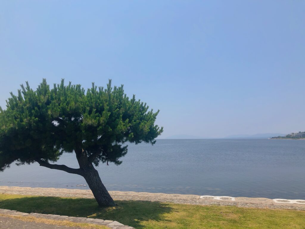 宍道湖を見に来ました