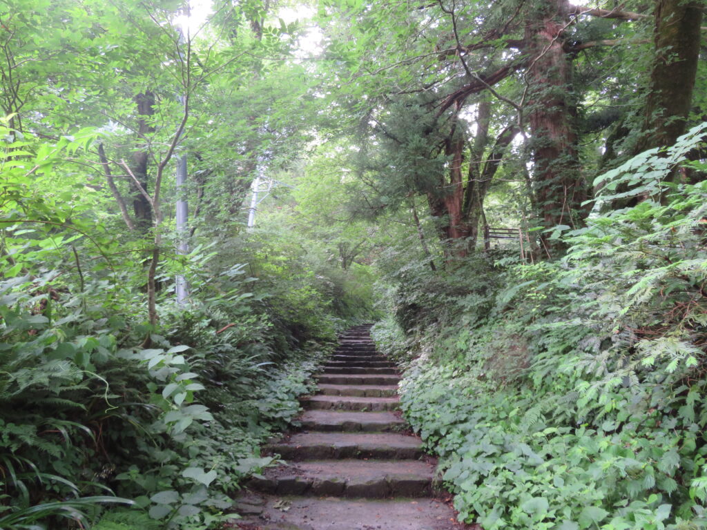 登山開始直後から階段が始まります