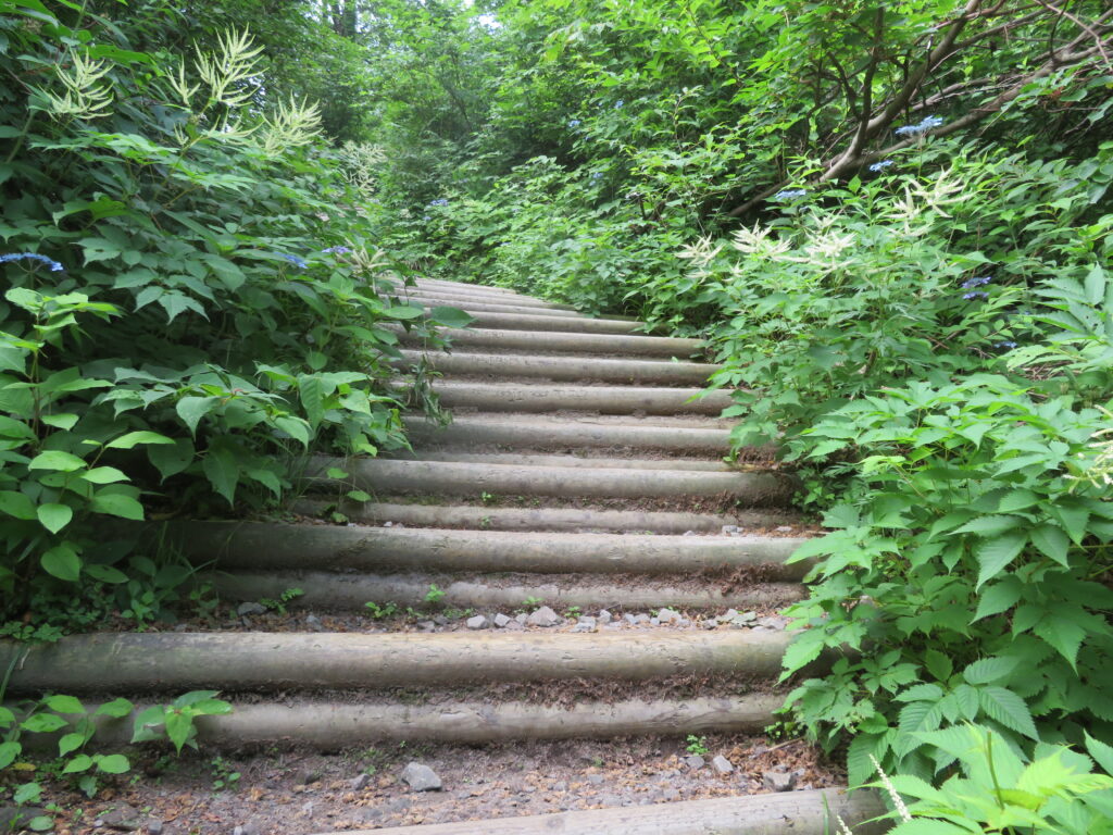 これほど長い階段は初めてかも…