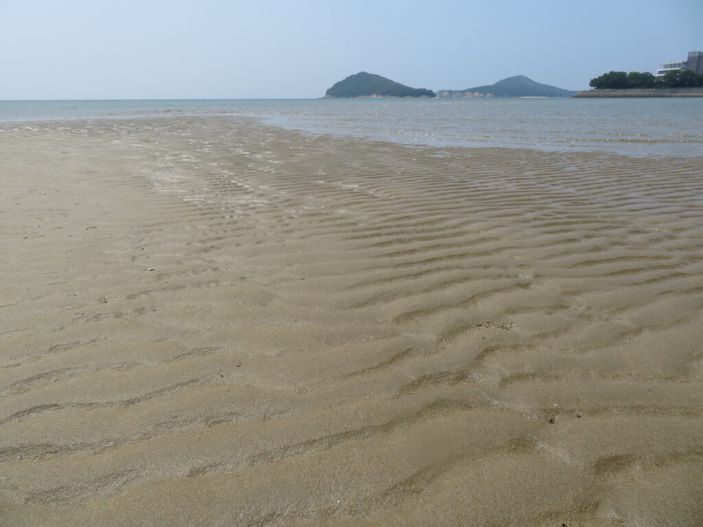 父母ヶ浜⑤