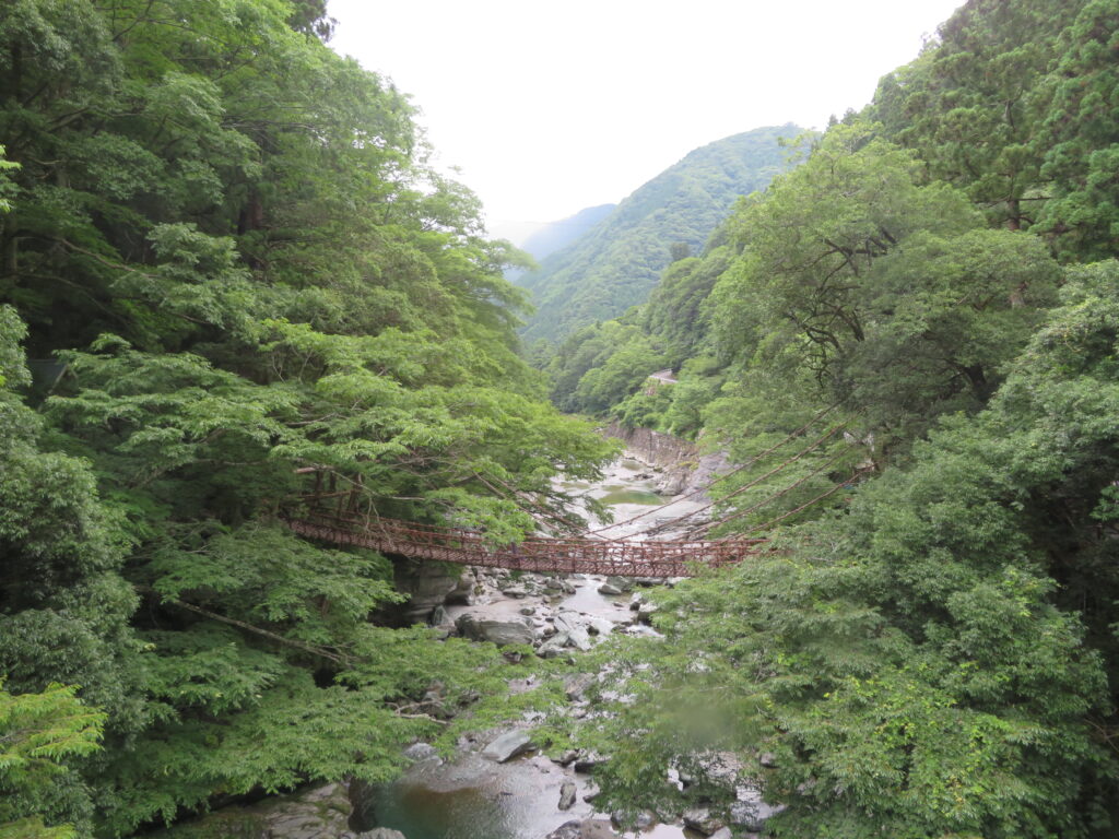 名残惜しいですが帰ります