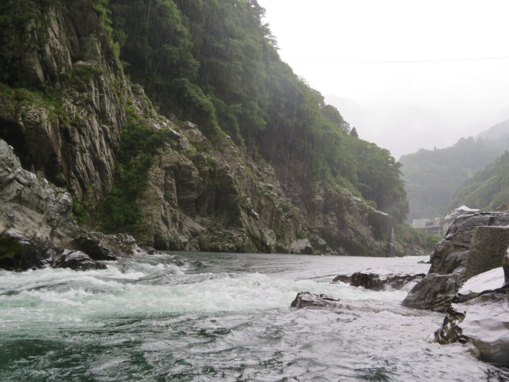 出発進行!
小さい船なので目線が水面に近い