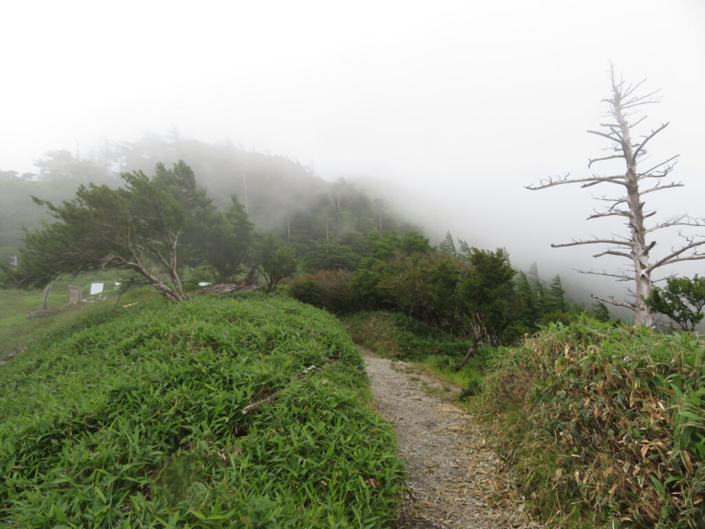 山頂が見えてきました
西島駅からあっという間ですね