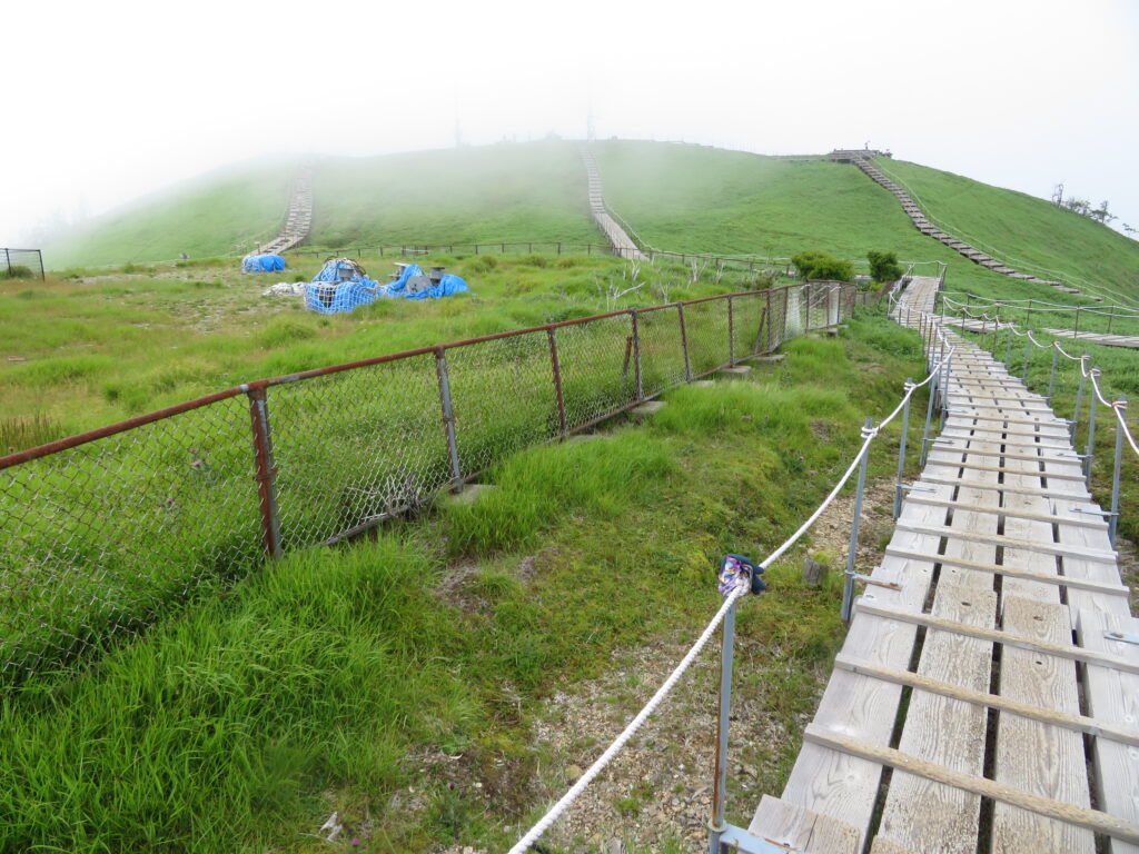 広々とした山頂