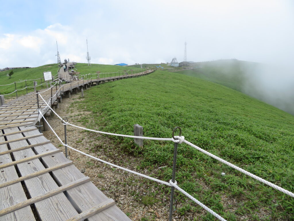 一面の笹原