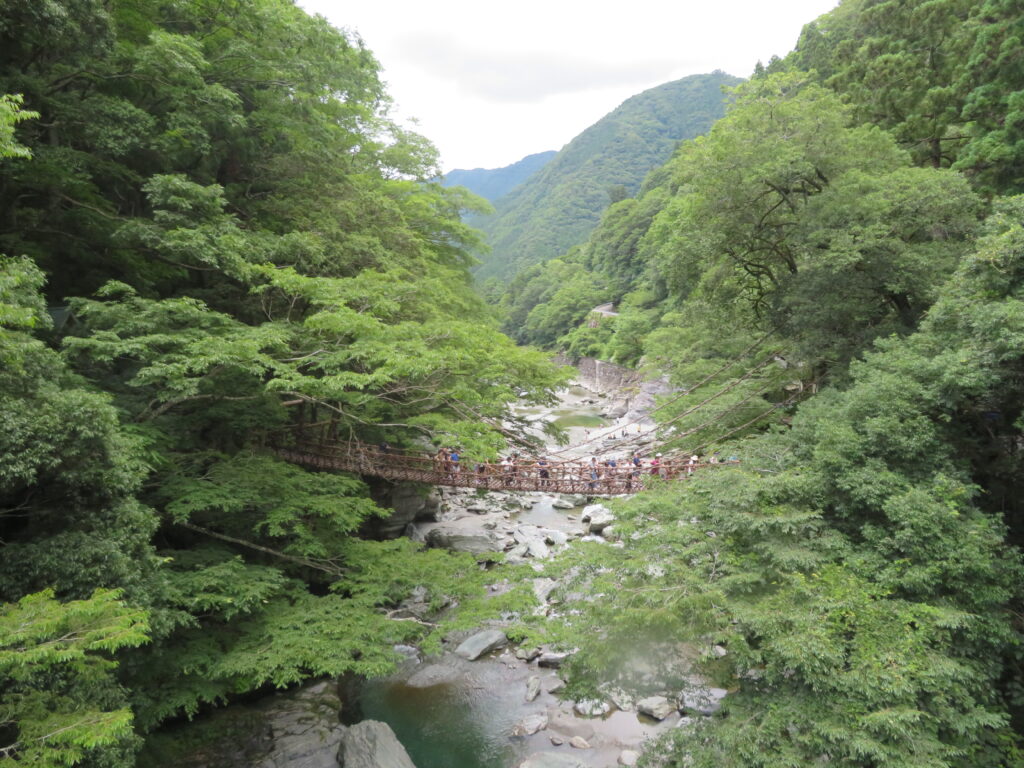 かずら橋が見えてきました