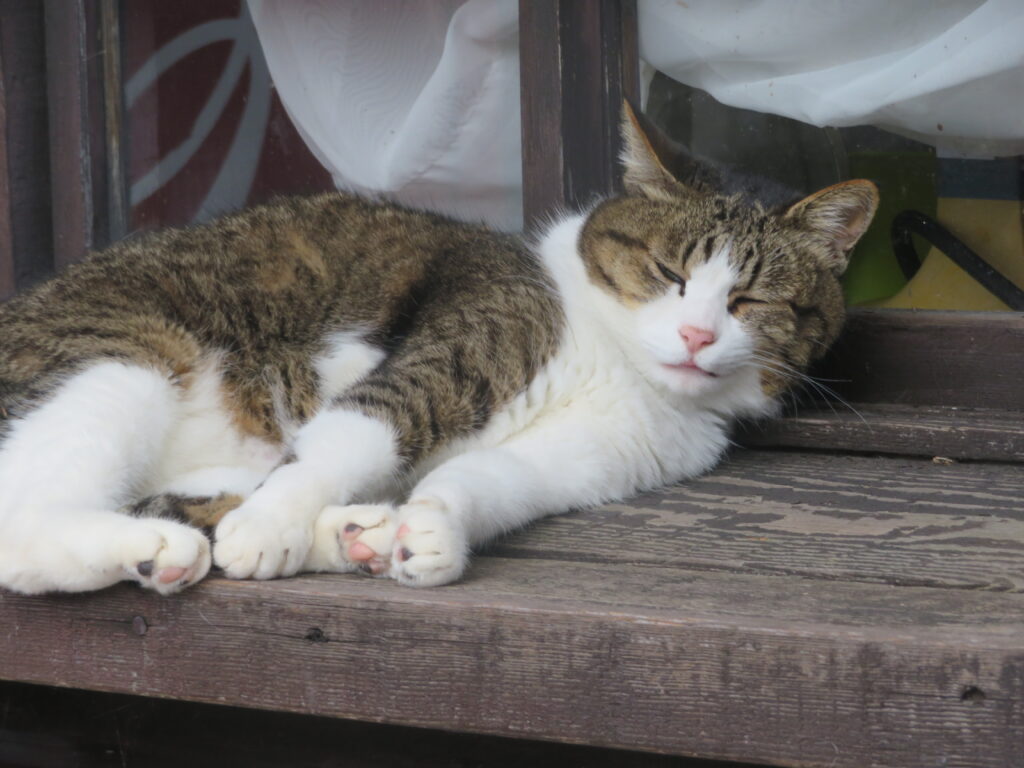 起きちゃったかな
