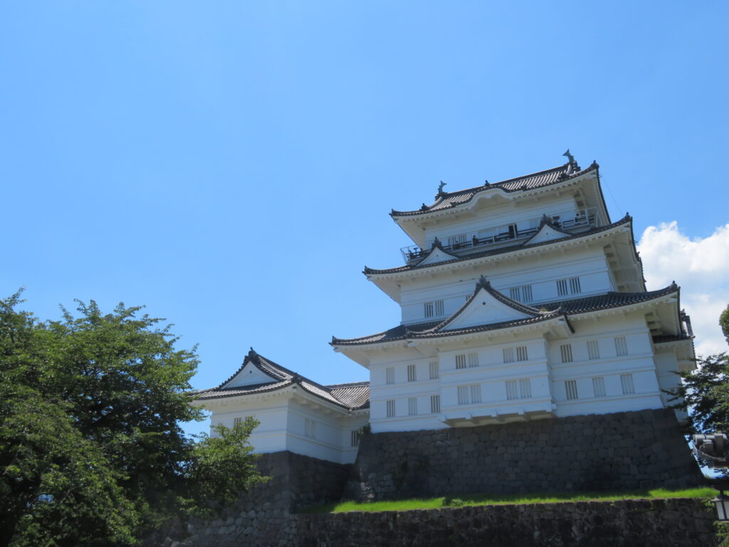 小田原城まで来ました