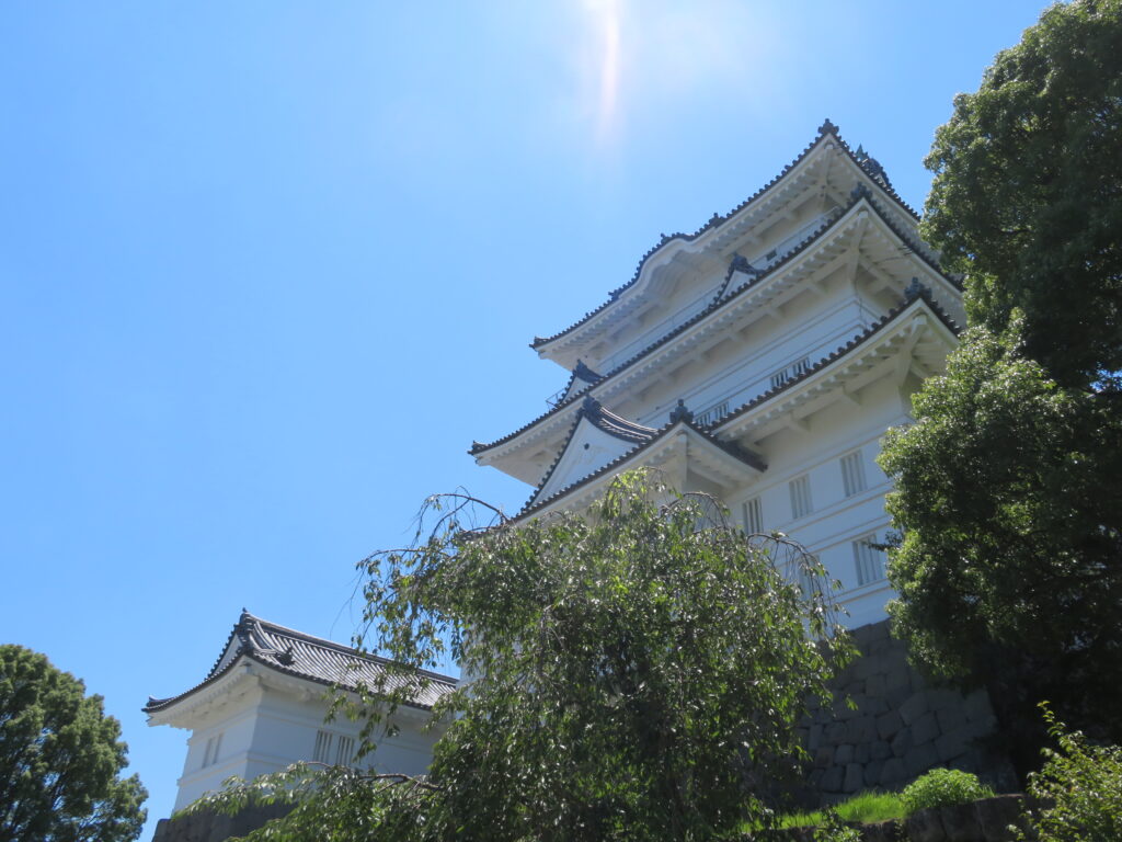 真下から撮影
最高の天気