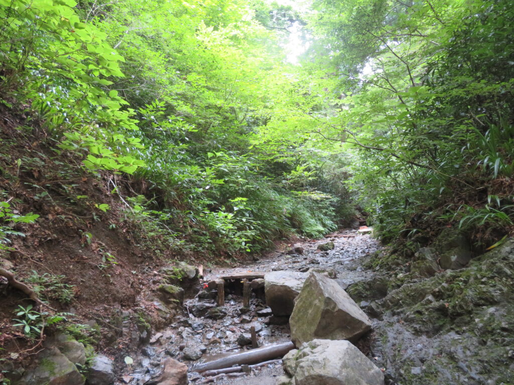 6号路を登っていきます