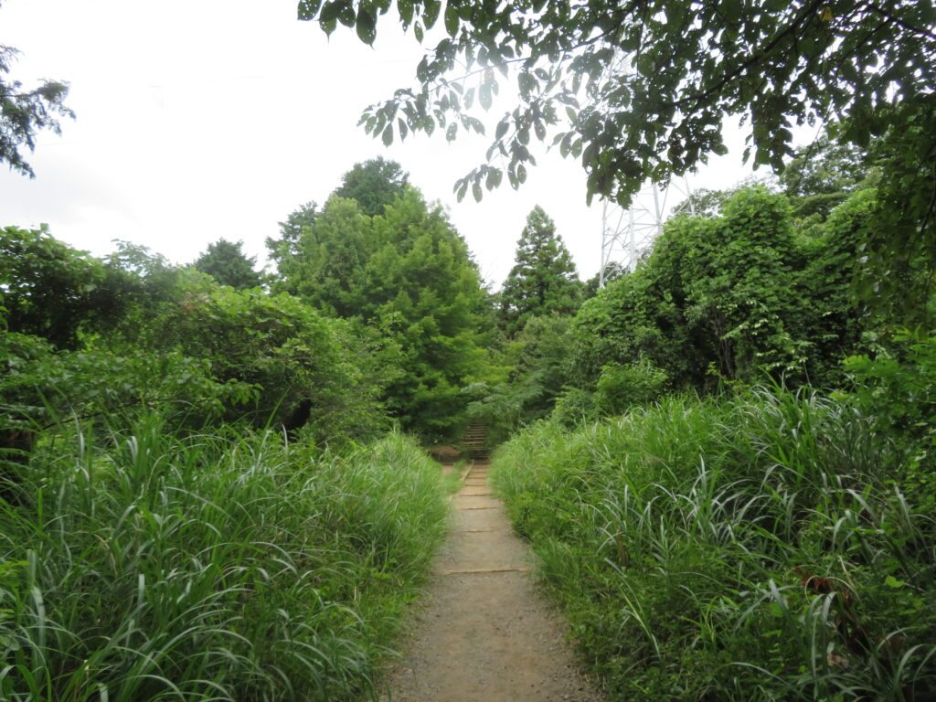 いつもの撮影場所
草がだいぶ伸びましたね
