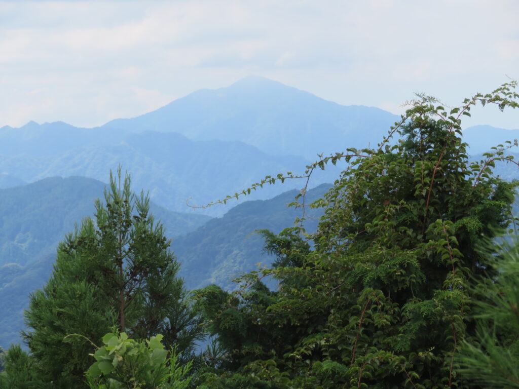 丹沢大山