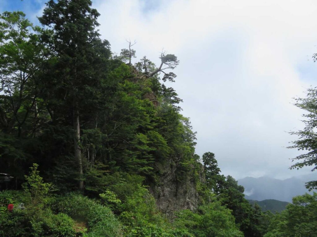 この大きな岩を登って下ってきました
