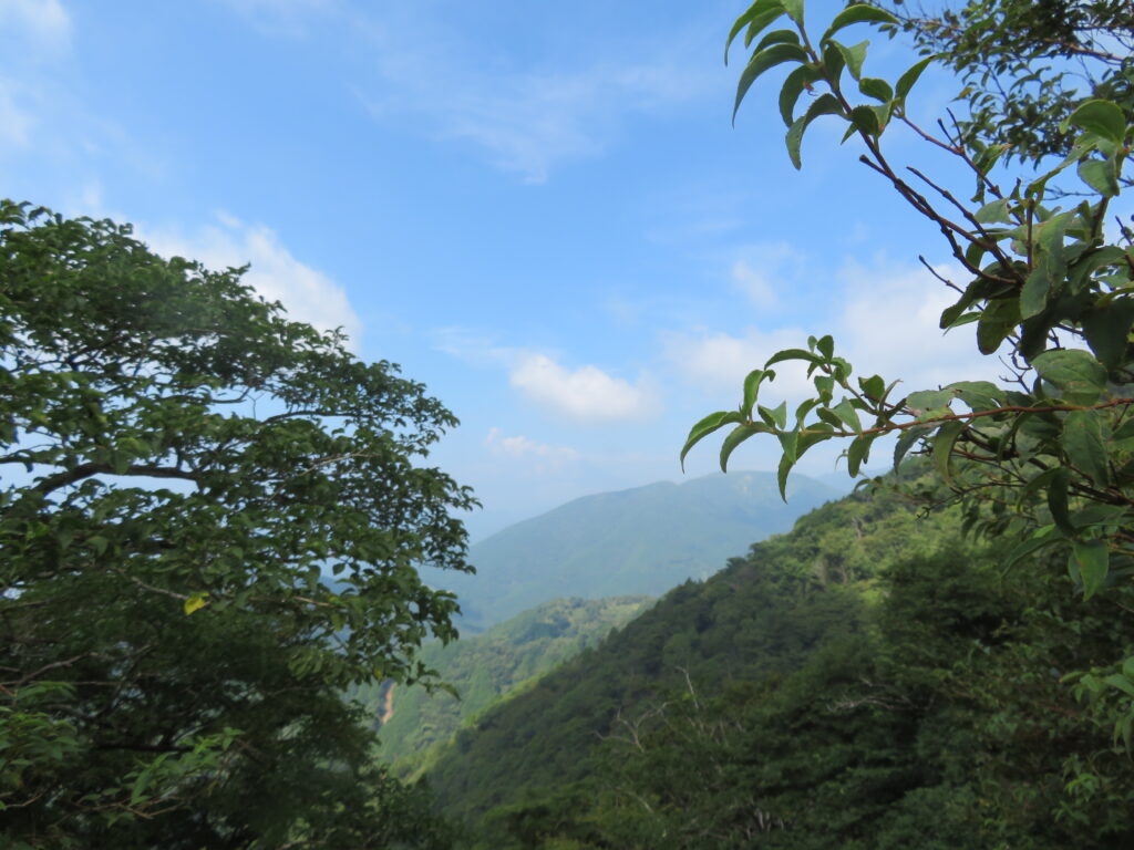 富士見台
富士山は雲の中