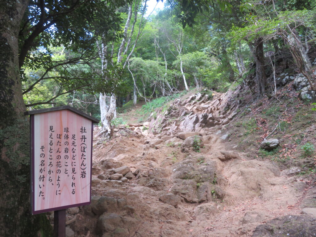 牡丹岩