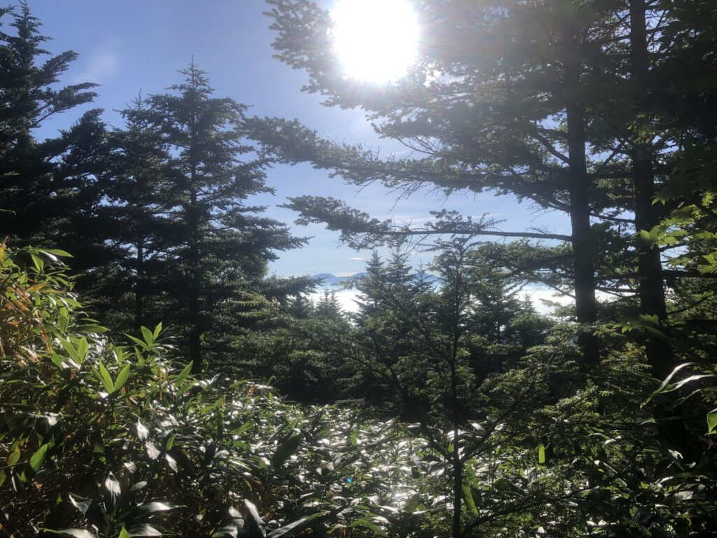 最高の天気です