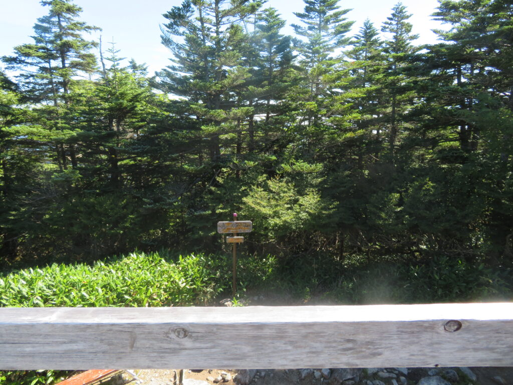 展望台からの展望
遠くまで見渡せませんね
