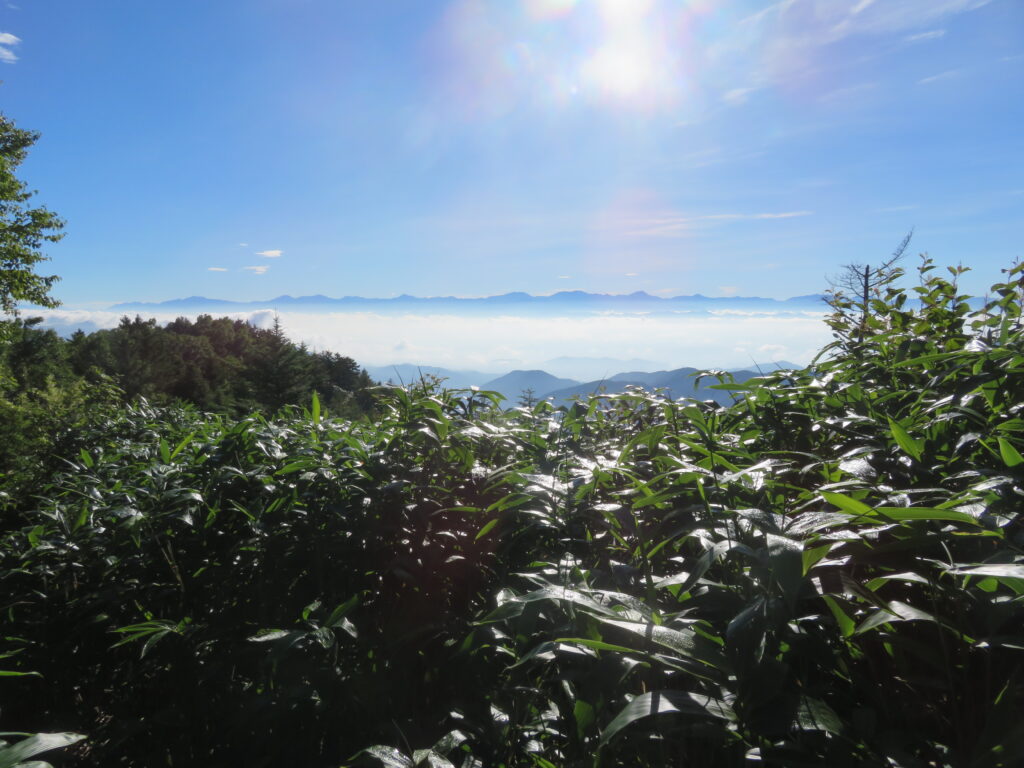 素晴らしい絶景ですね!