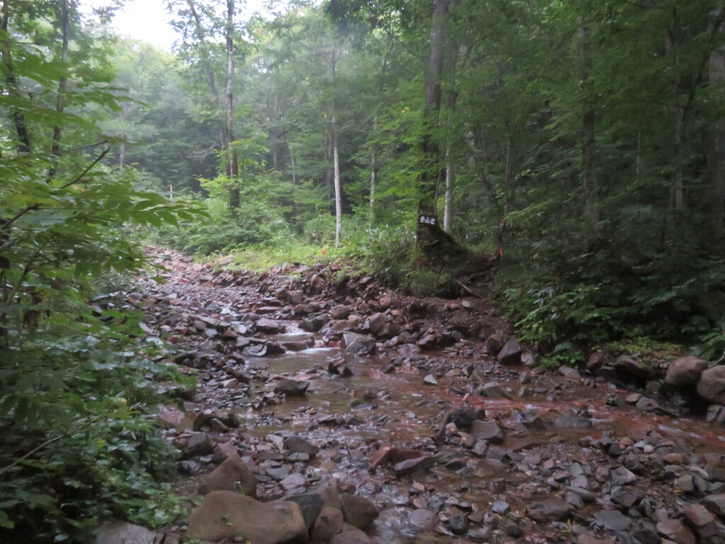 沢沿いに登っていきます