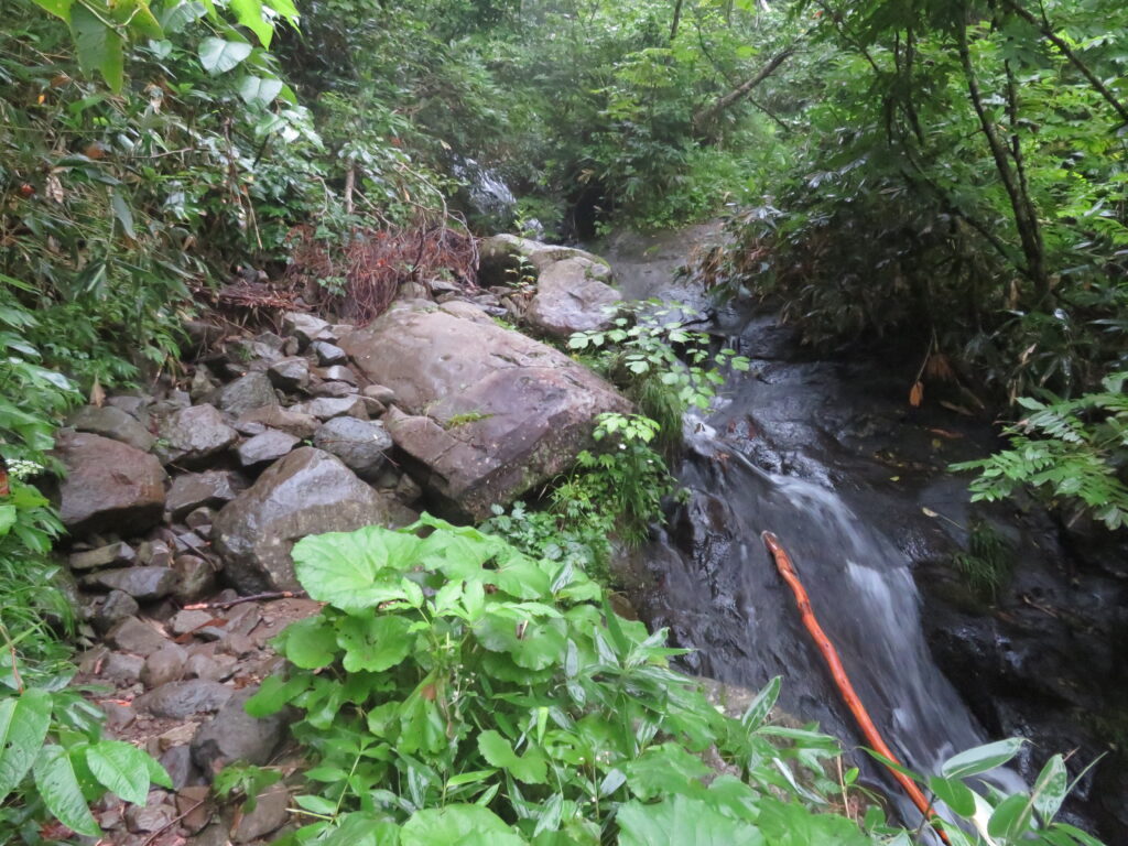 岩が多いです
滑らないように注意