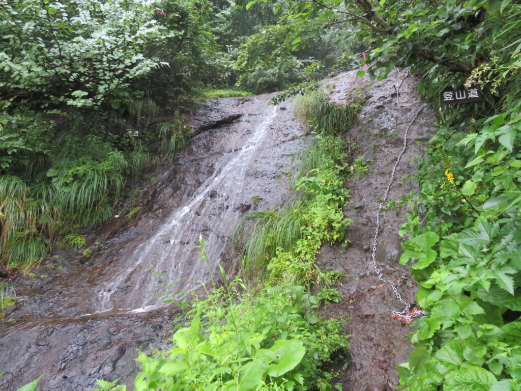 滝横の岩をよじ登ります
下りは怖そう……