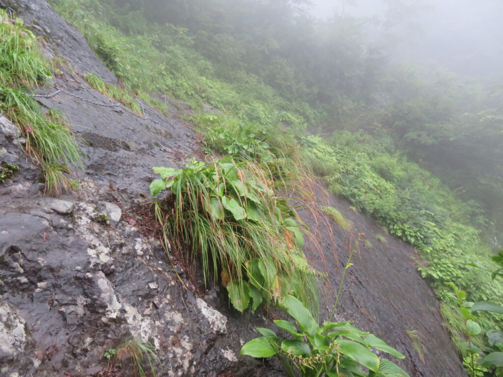 ホントに怖すぎて下を見れません……