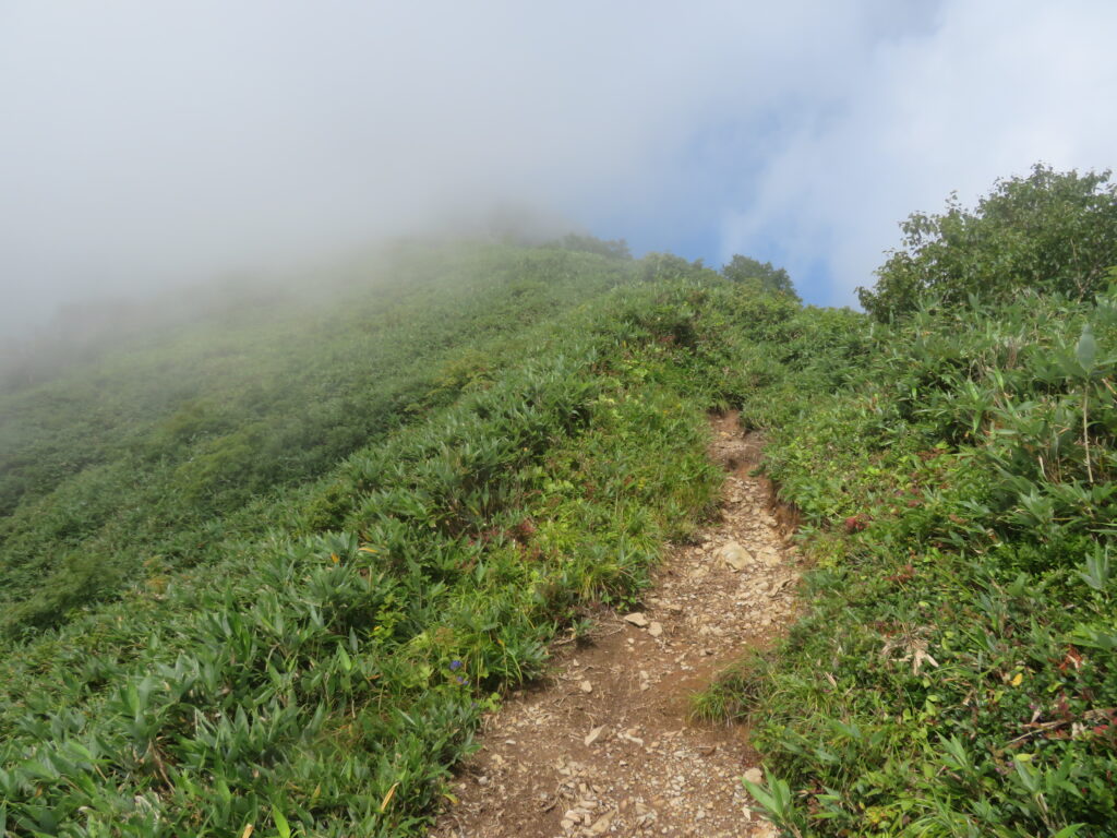 山頂に近づくと雲が消えていきます