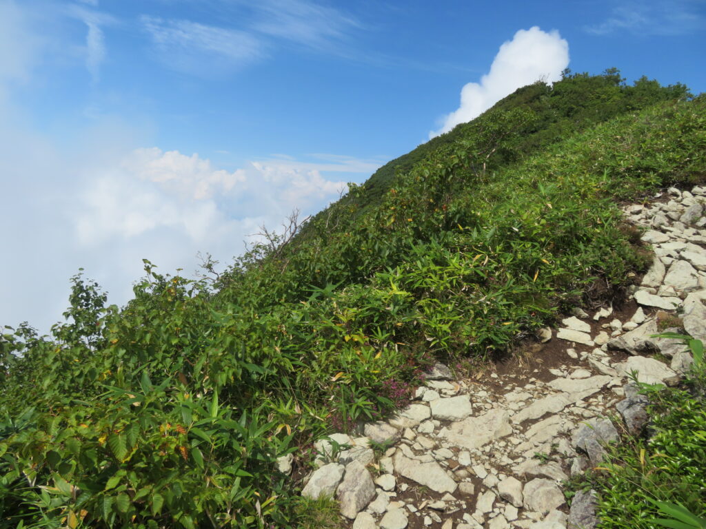 あっという間に雲が消えました!
山頂と雲海が最高!