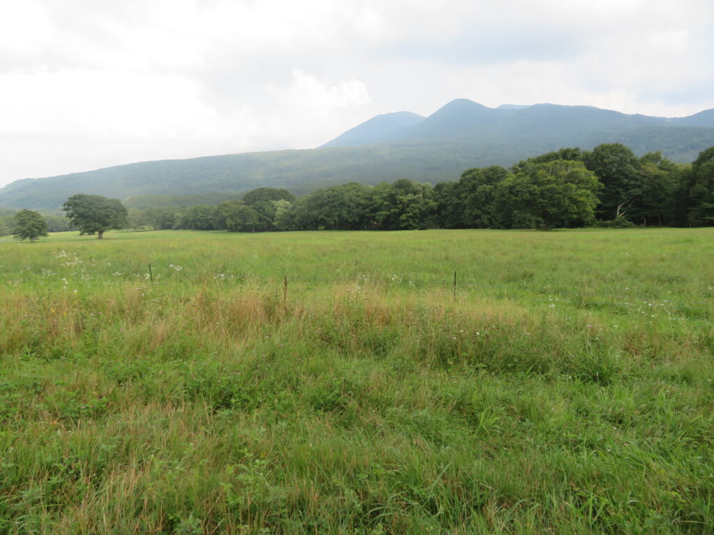 戸隠牧場まで下山してきました
思いのほか手ごわかったです(バテバテ)
次は「妙高山」「火打山」