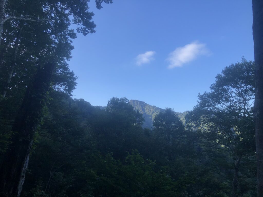 剣ヶ峰山？と思っていましたが、獅子ヶ鼻山かな？