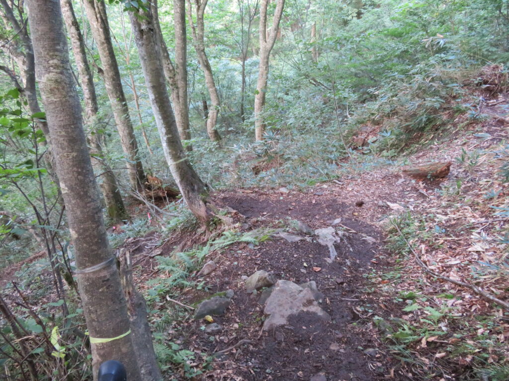 ここ注意
道を間違えました……