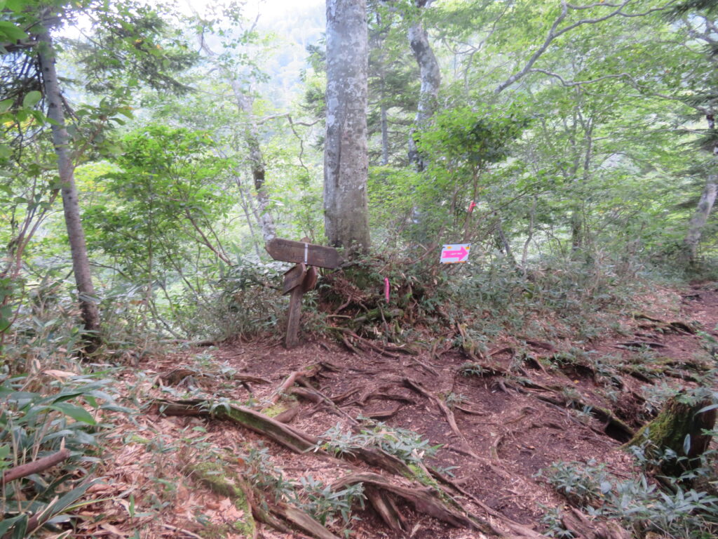 手小屋沢避難小屋分岐
右へ行きます