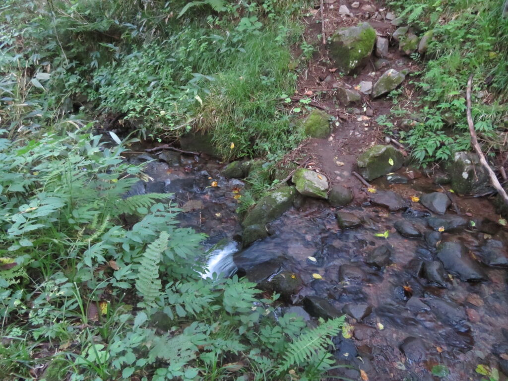 小さな川を渡ります