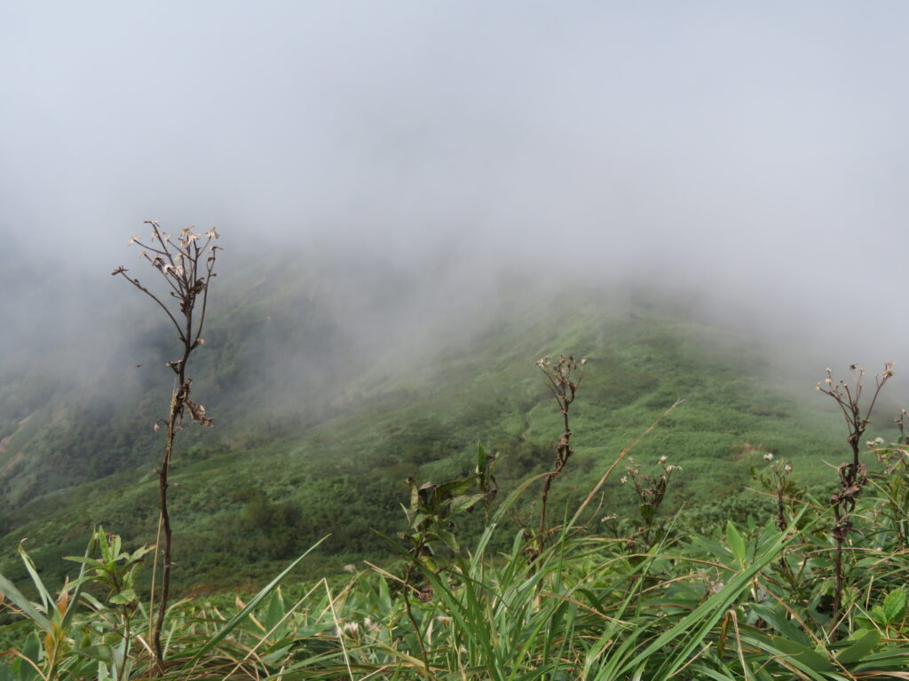 剣ヶ峰山への稜線が見えてきました