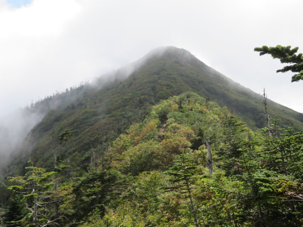 武尊山を振り返る
形の綺麗な山です