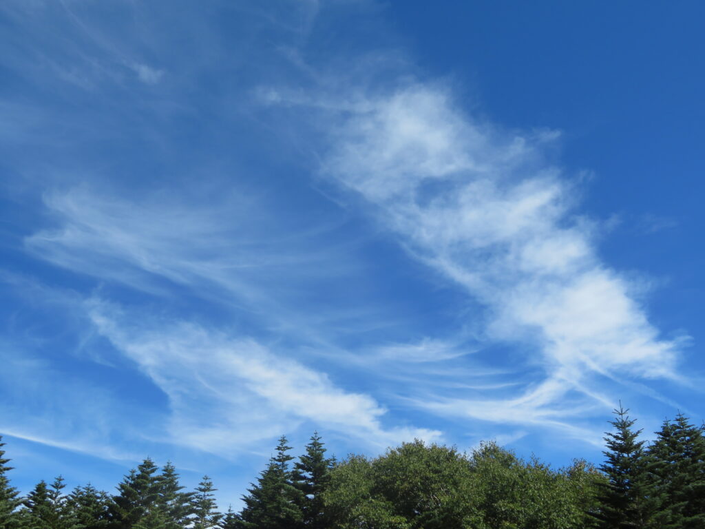 気持ちのいい空ですね