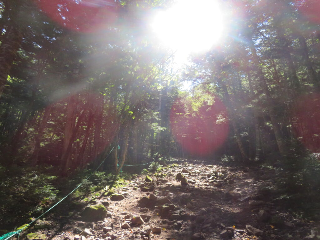 登山道は山頂までずっとゴロゴロ岩です（土の道はほぼ無い感じ）