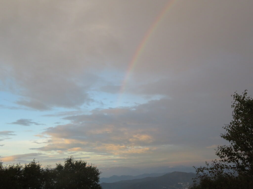 雨上がりの虹🌈