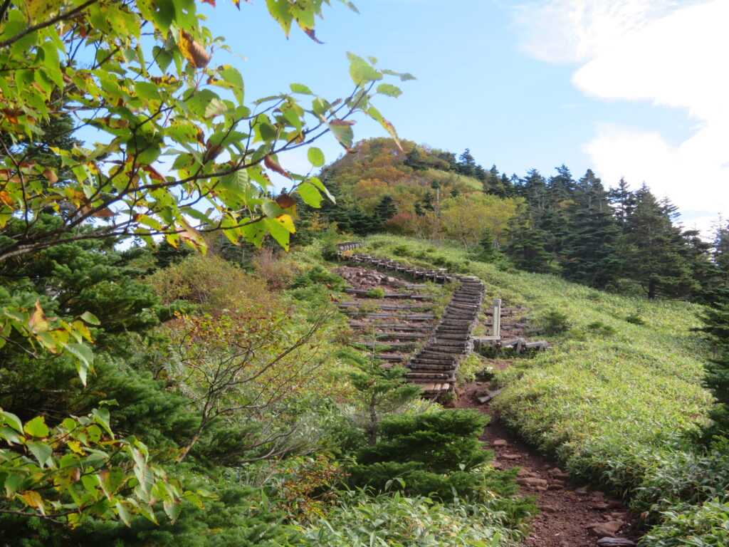 木道を登っていきます