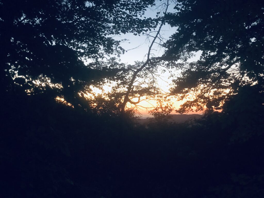 朝5時になり空が明るくなってきました