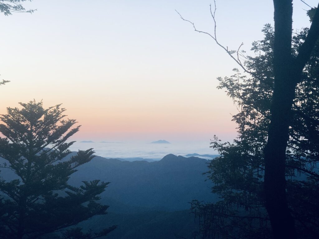 綺麗な雲海に浮かんでいるのは「筑波山」ですね