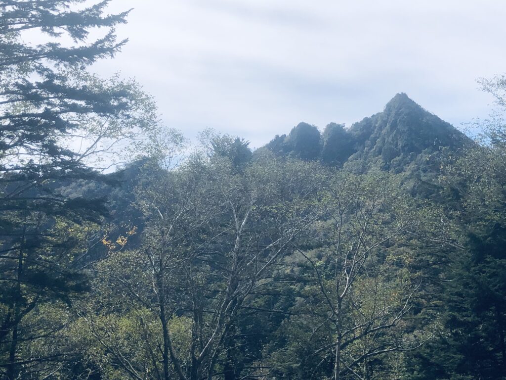 鋸山を下ってきた場所から振り返ると、ノコギリの刃のようにギザギザしていることがよく分かりますね