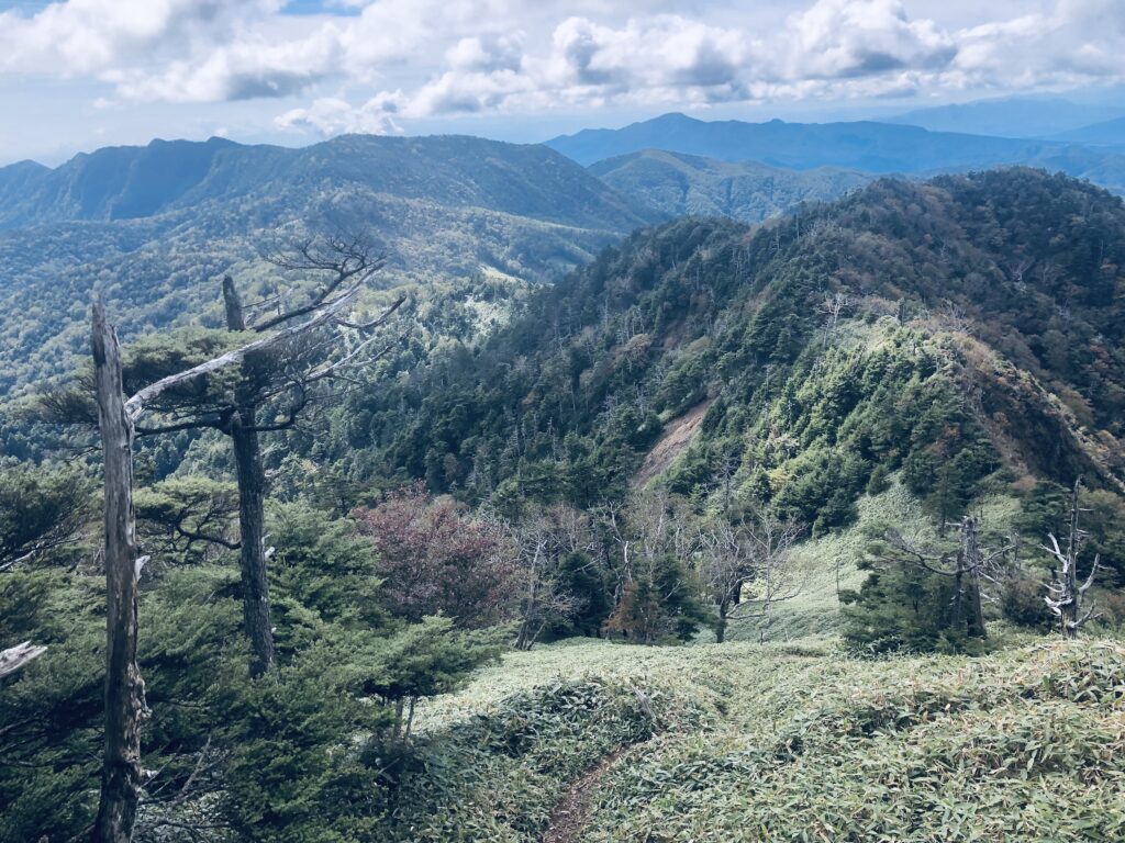 鋸山を過ぎて、下山は「六林班峠」へ向かいます
