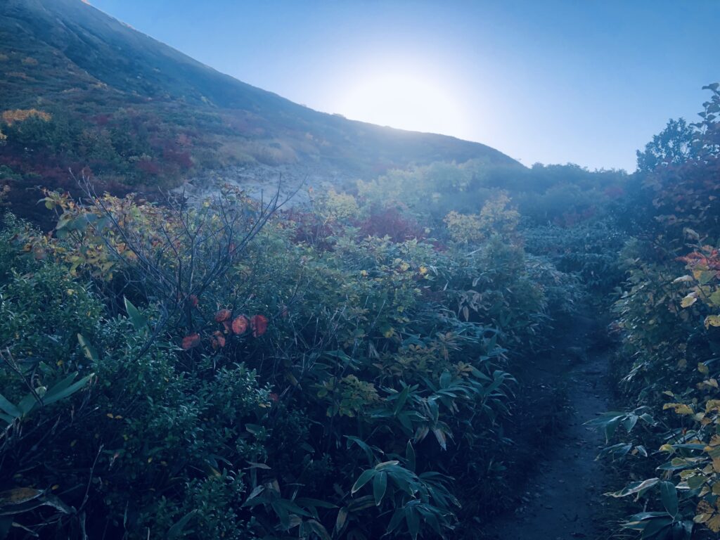 太陽が昇ってきました
紅葉も綺麗です