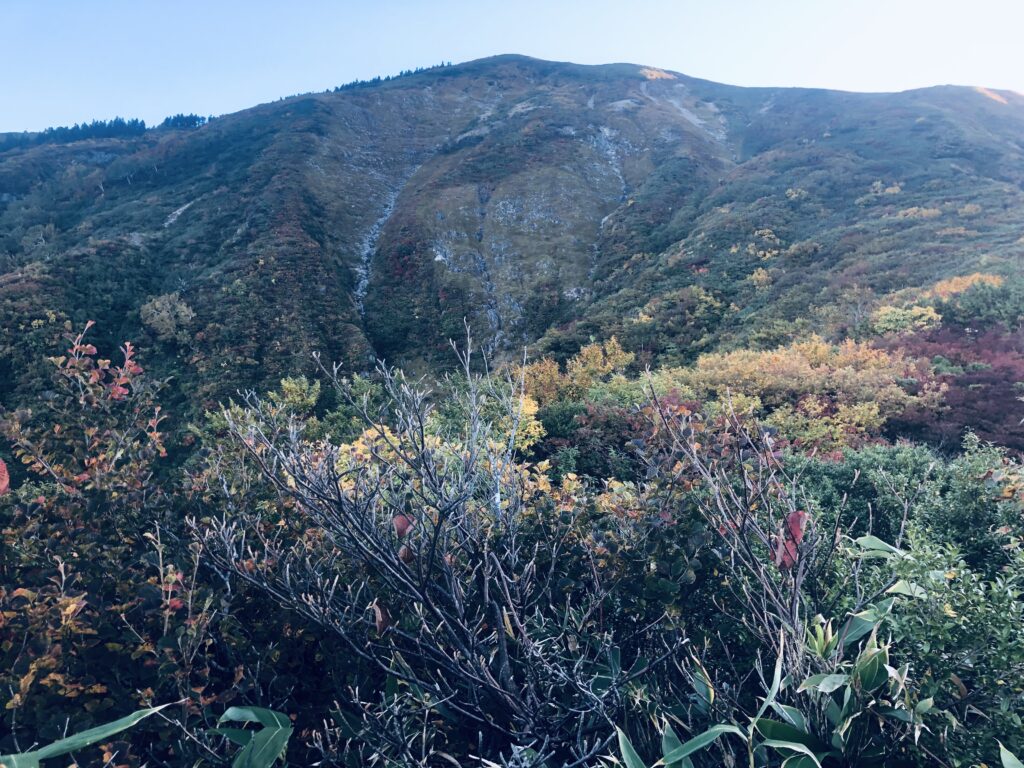 これはニセモノ
9合目の前巻機山(ニセ巻機山)