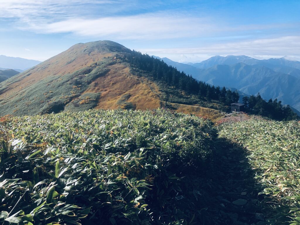 前巻機山を振り返る
小さな避難小屋があります