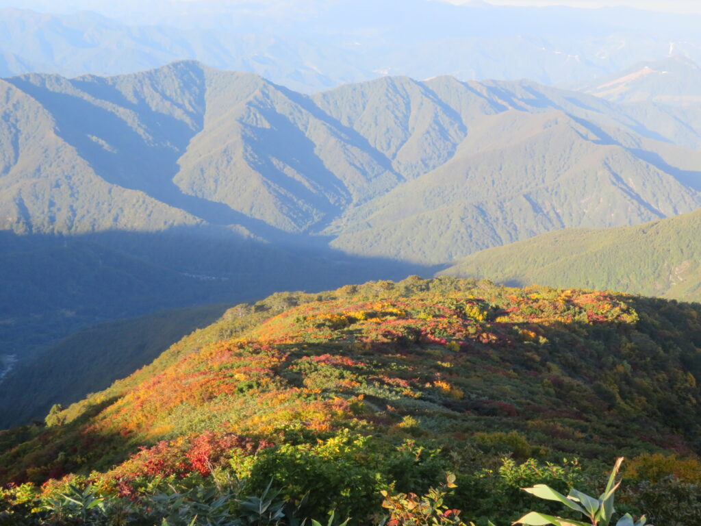 振り返ると紅葉が綺麗
紅葉の中を歩いてきました