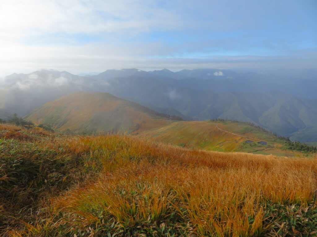 山頂からの景色